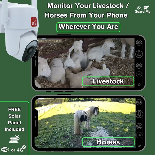 Rural Monitoring & Security From Only £99
