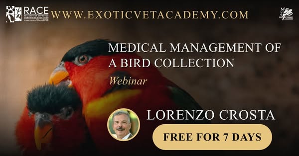 From the former Veterinary Director at Loro Parque