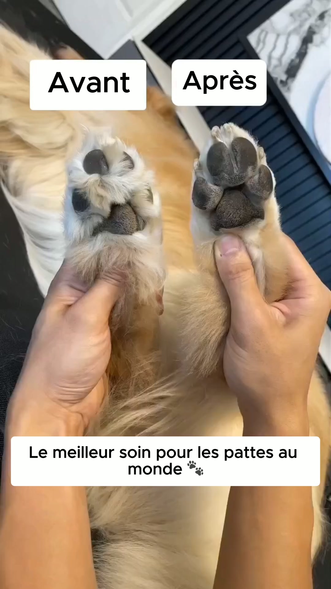 Recommandé par les vétérinaires