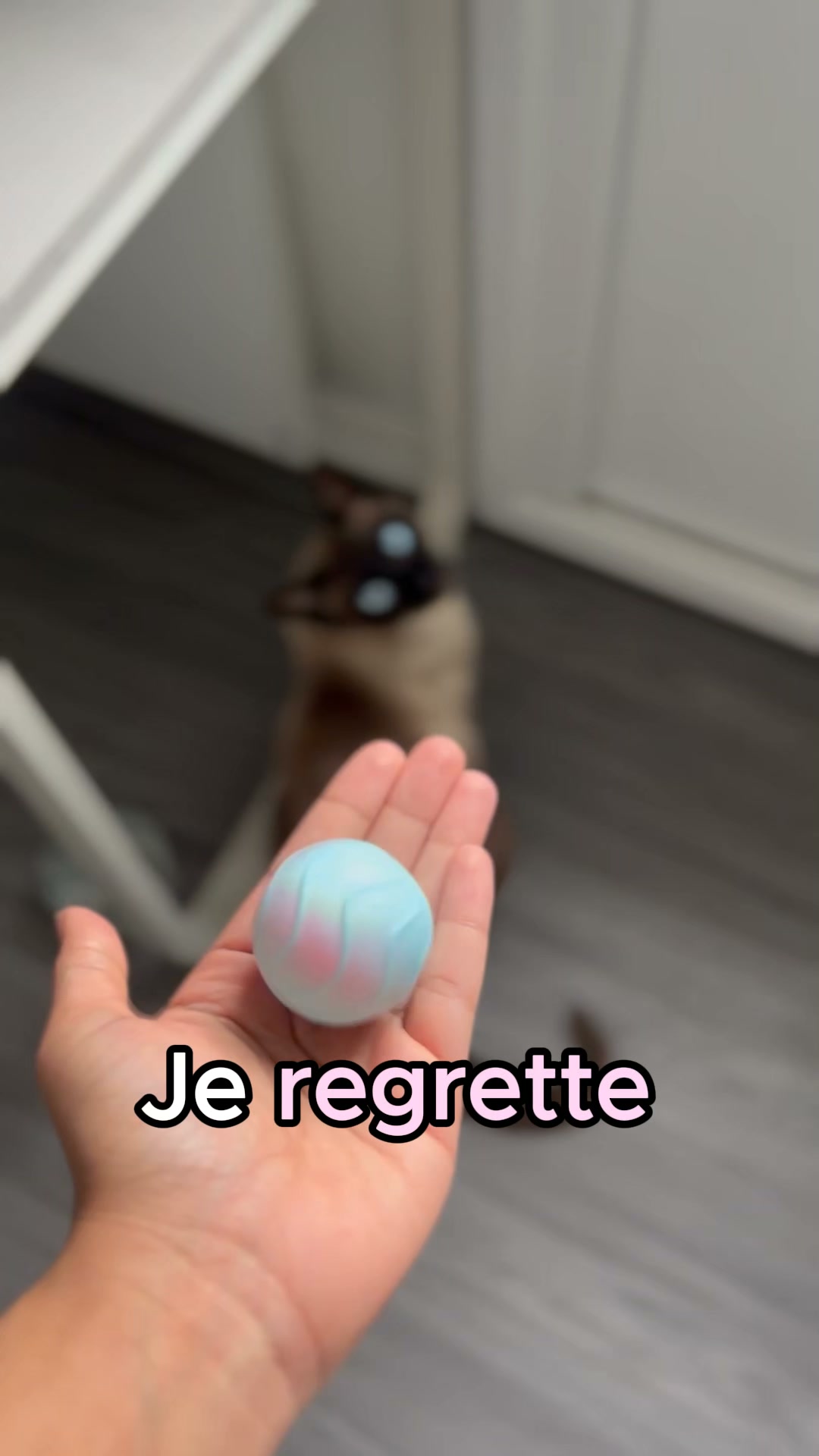 #1 Jouet pour chat