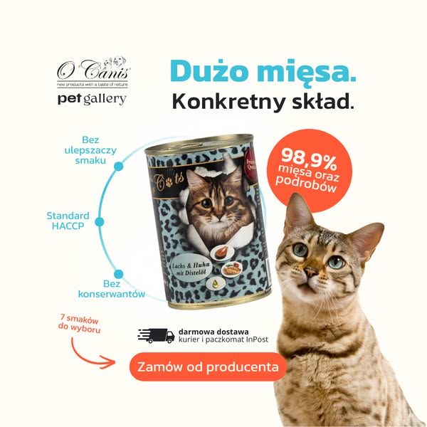 Karma mokra dla kota