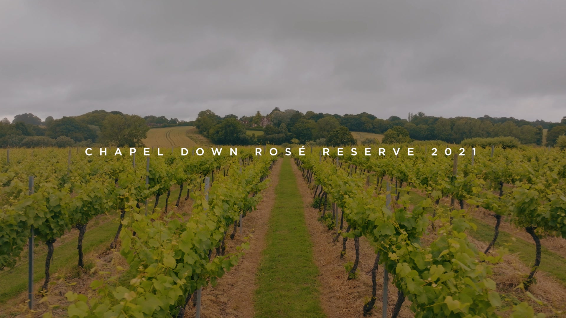 Rosé Reserve 2021