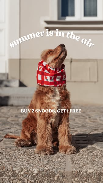 Crafted by owners, loved by dogs