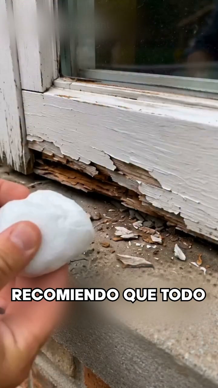 Envío Gratis: 24h y Pago Contrarrembolso