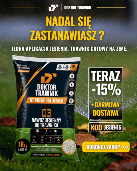 Nadal się zastanawiasz? -15% oraz darmowa dostawa czeka.