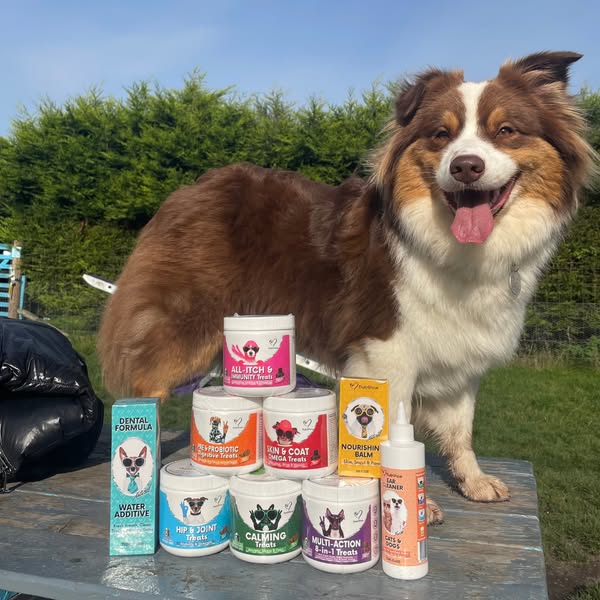 Vets Love It. Dogs Love It. Owners Trust It.