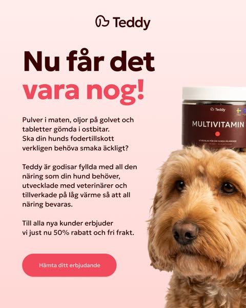 Höstkampanj 50% rabatt och fri frakt!