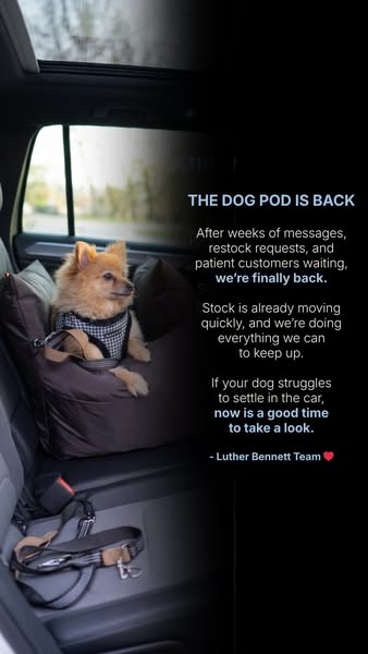 Travel Dog Pod (Now with IsoFix)
