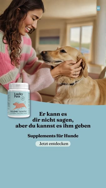 Gelenktabletten für deinen Hund