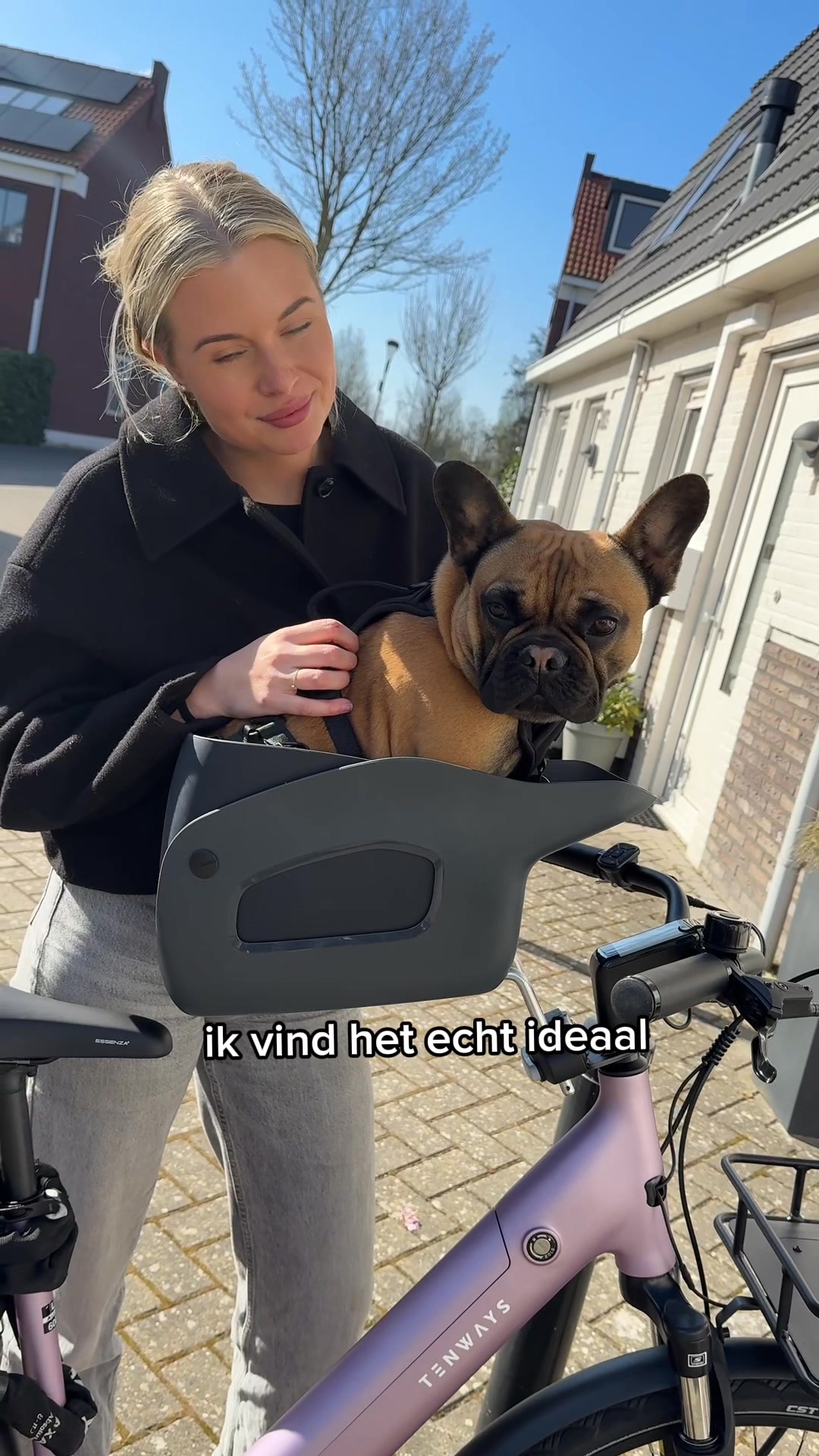Nooit meer je hond alleen thuislaten