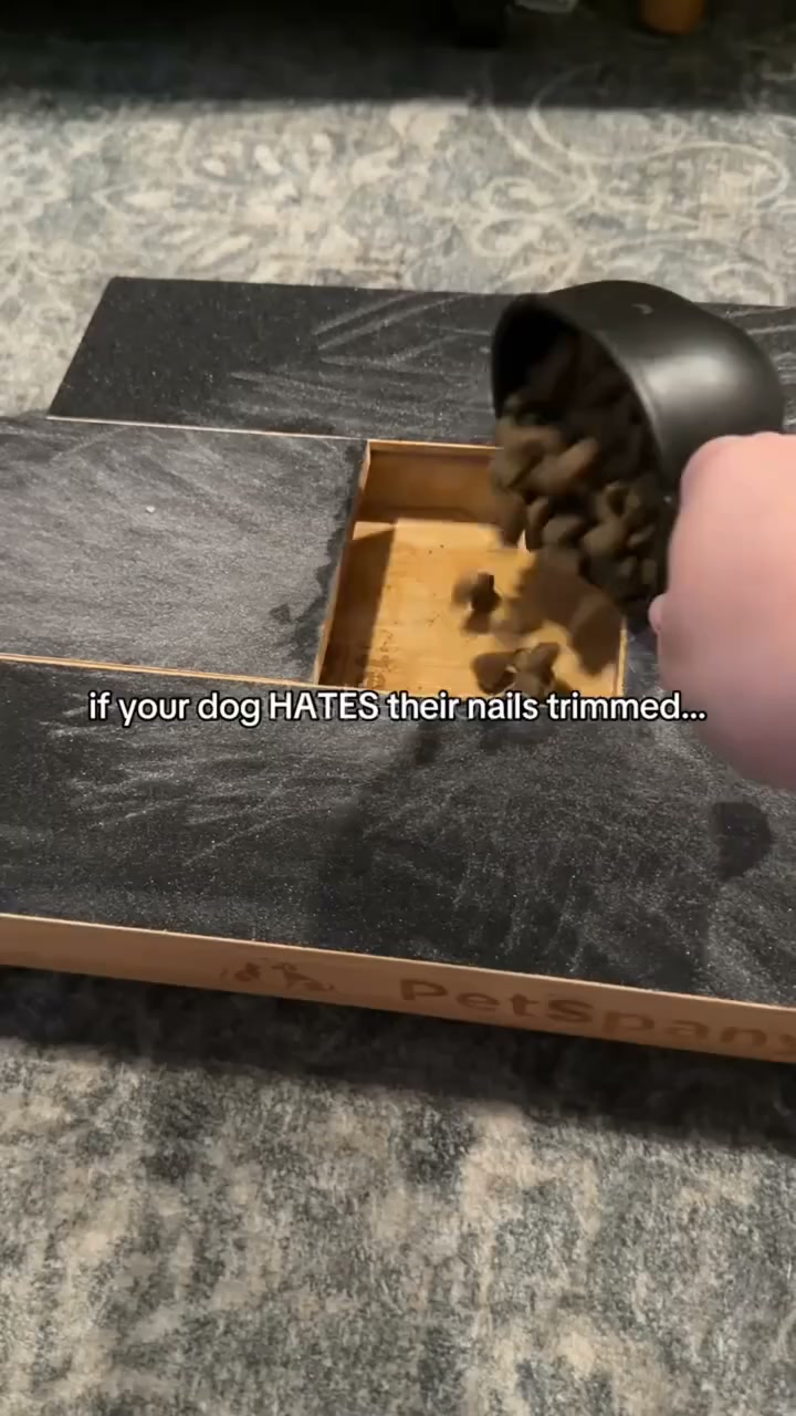 If Your Dog HATES Getting Their Nails Trimmed... This One's For You