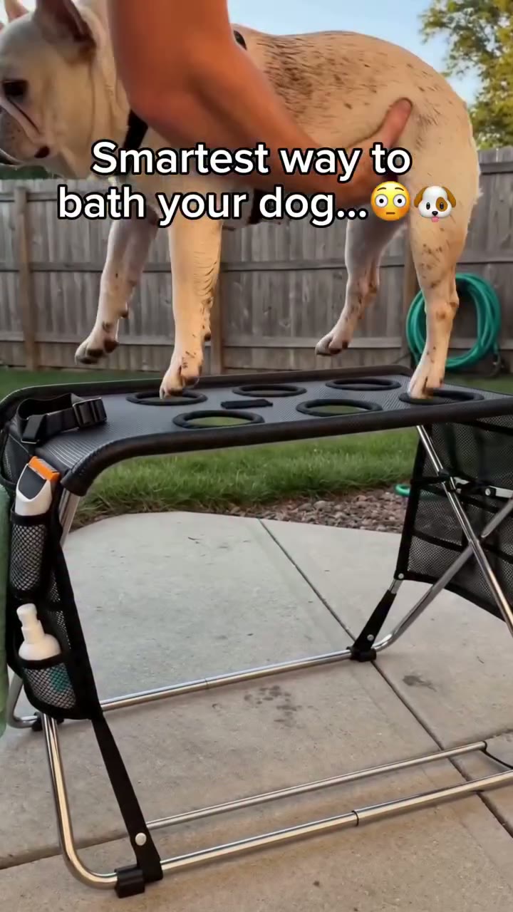 Nowhere To Put The Shove