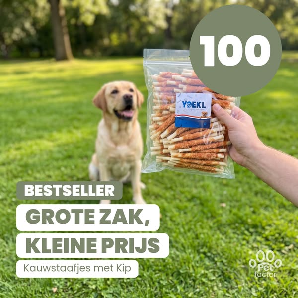 Grote zak, kleine prijs