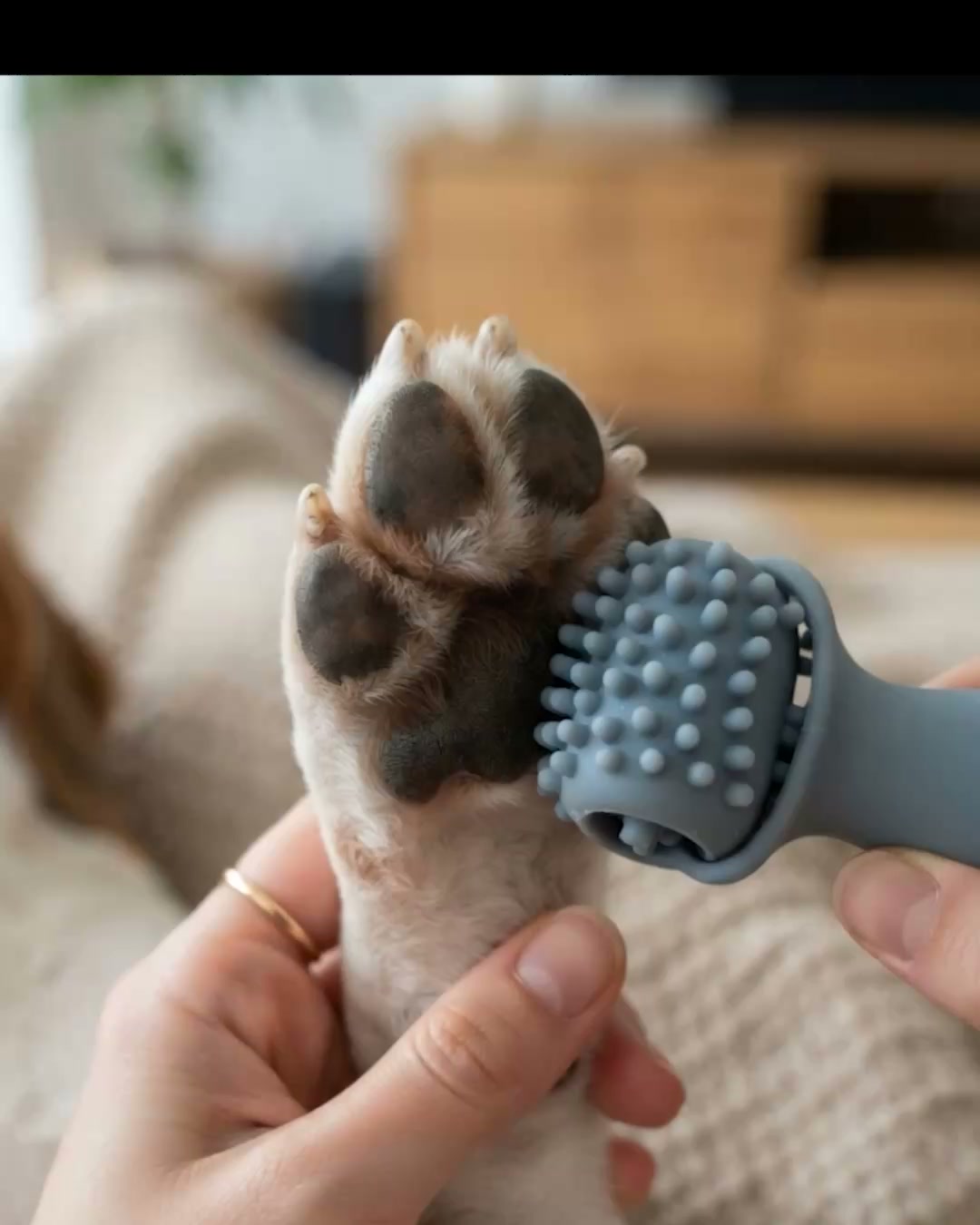 Stress-Free Nail Grooming for Your Dog!