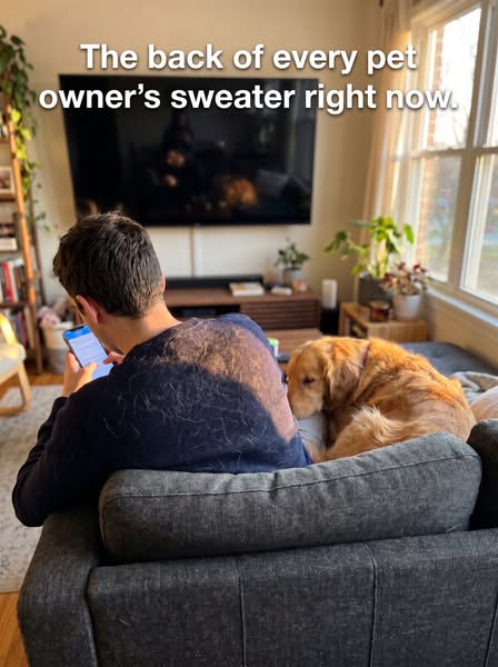 Tag a pet owner. They'll know.