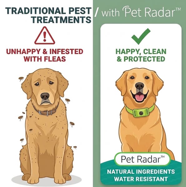 Why Your Pet Keeps Getting Fleas Every Year?