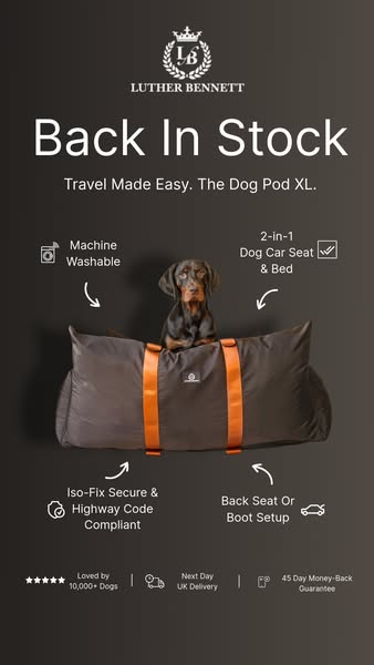 Stress-Free Travel for Your Pet