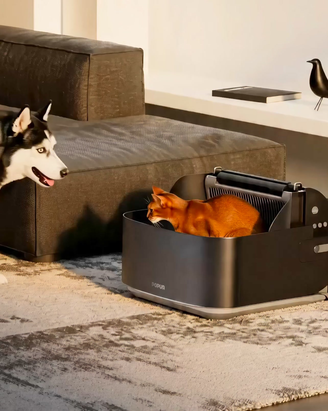 "Dog Snack" Solved