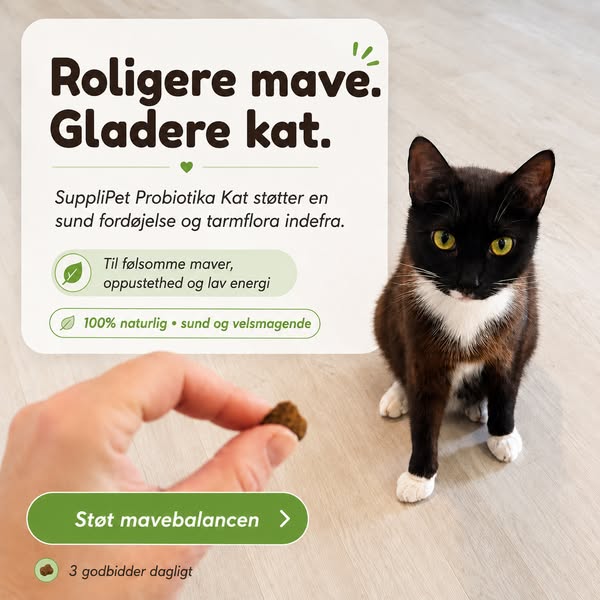 Nyhed: Probiotika til katte!