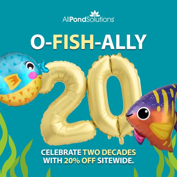 20% Off Sitewide