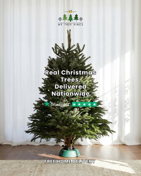 Real Christmas Trees Direct to Your Door
