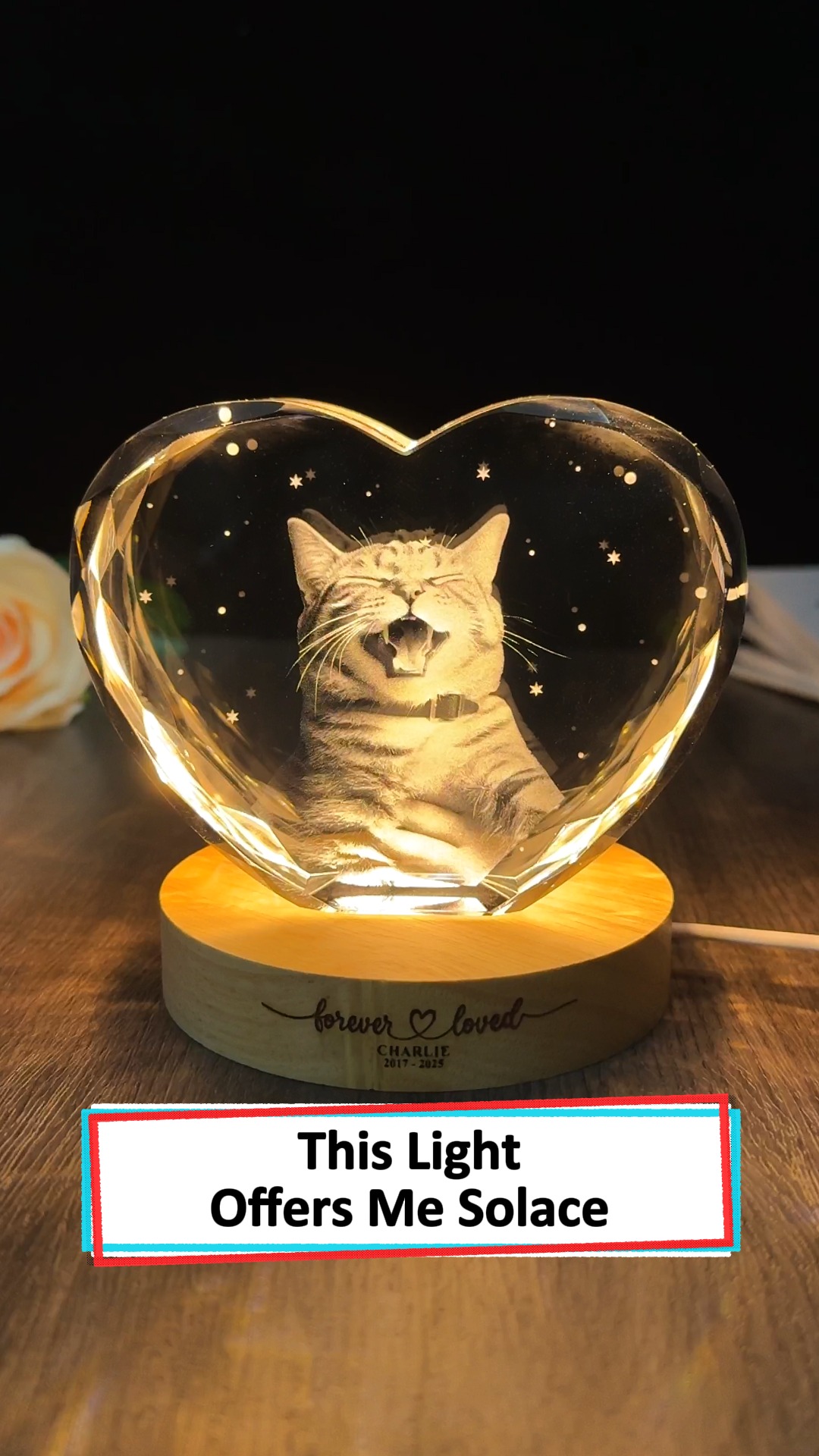 Heartfelt Lamp For Pet Lovers