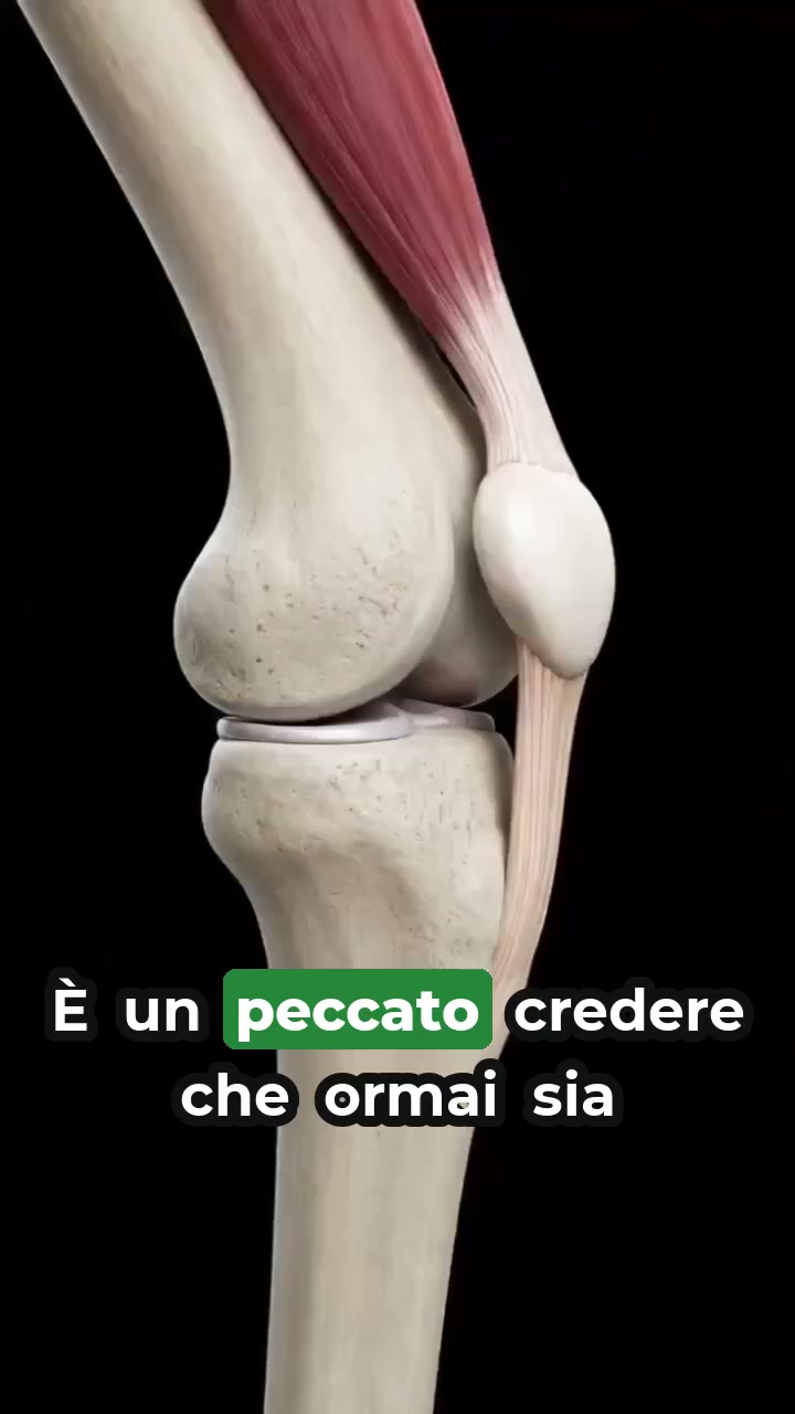 Compra 1, il secondo è in regalo