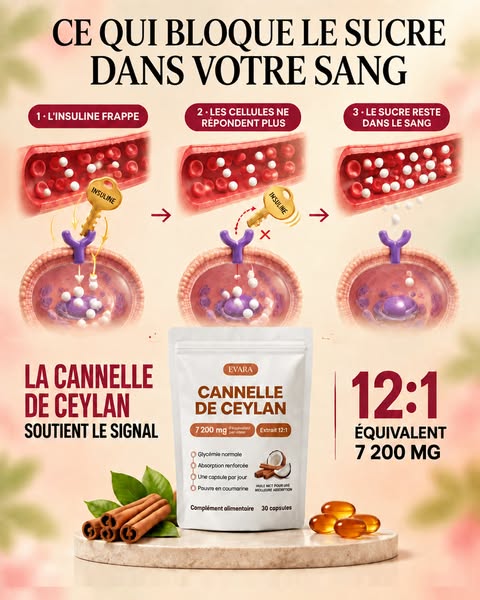 Cannelle de Ceylan — équivalent 7 200 mg, avec huile MCT
