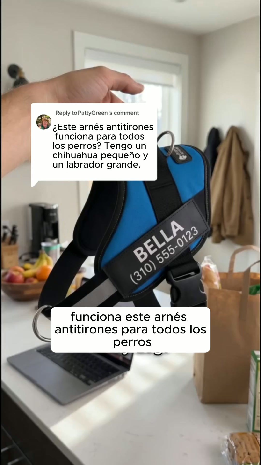 Arnés antitirones diseñado para perros de cualquier tamaño y raza