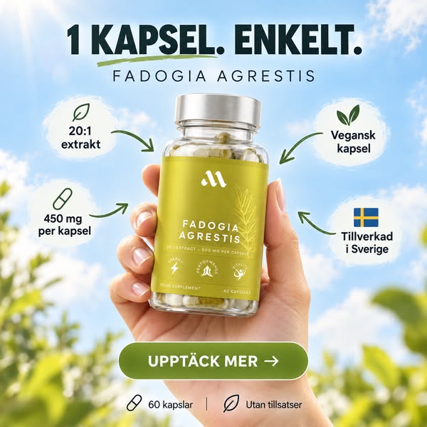 Spara 15 % med prenumeration