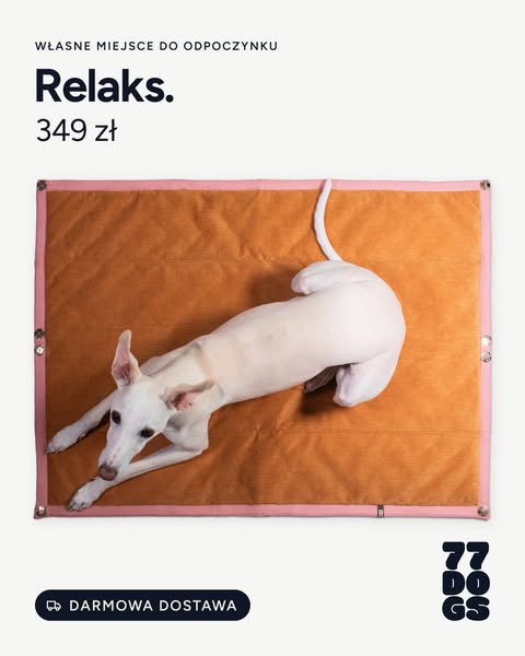Mata dla psa zwijana w rulon · 349 zł