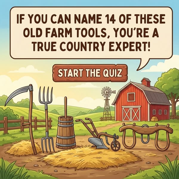 Old Farm Life