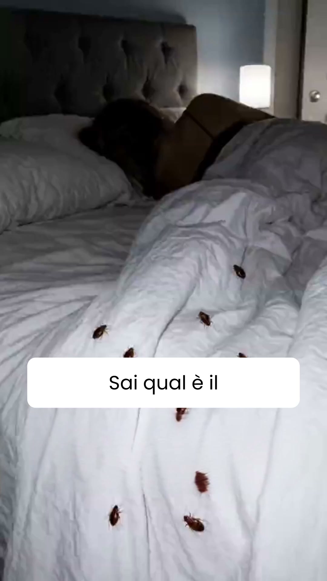 Basta punture. Senza chimica.
