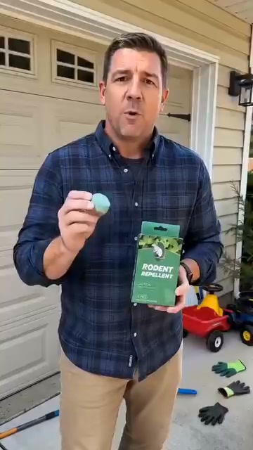 12 Pack Popular Natural Rodent Repellent Balls