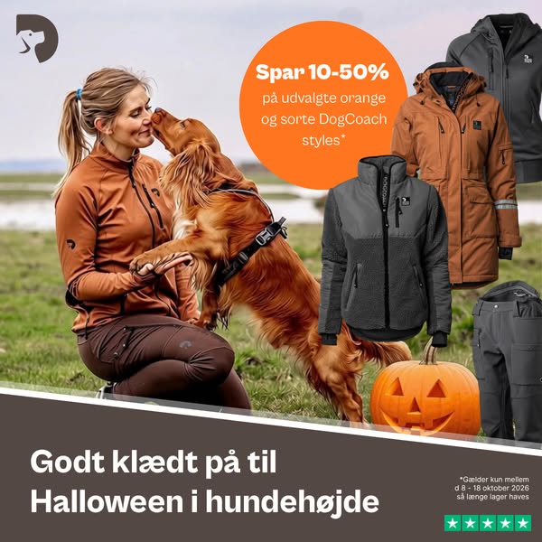 Spar 10–50 % på udvalgte DogCoach-favoritter