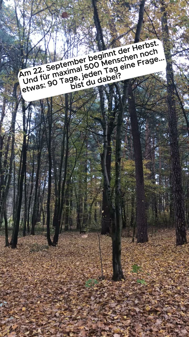 Im Dunkeln hin, im Dunkeln zurück