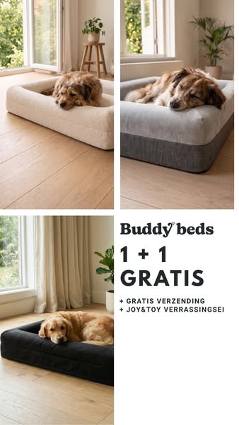 1 + 1 gratis op hoezen