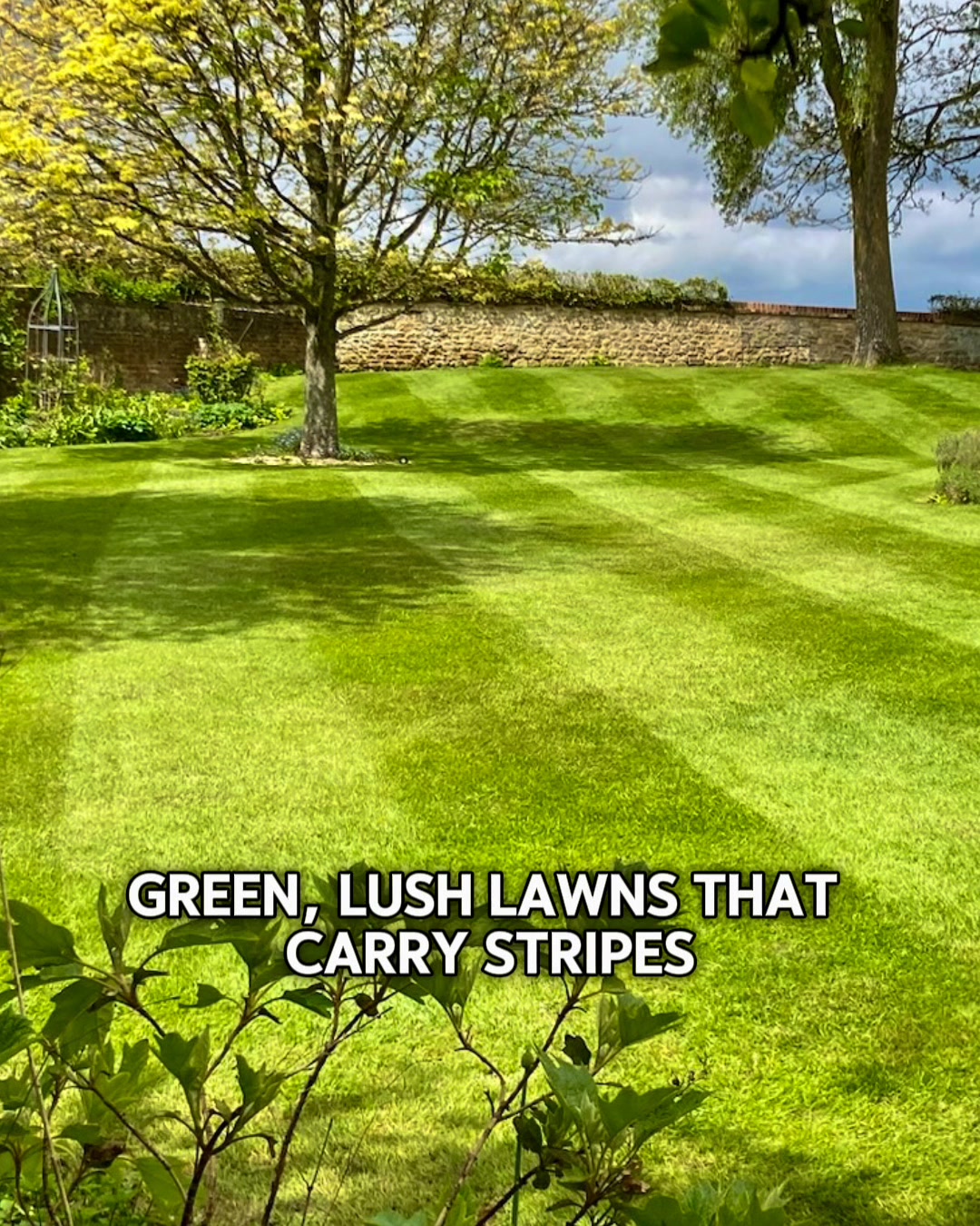 The Secret to a Flawless Lawn All Year Round