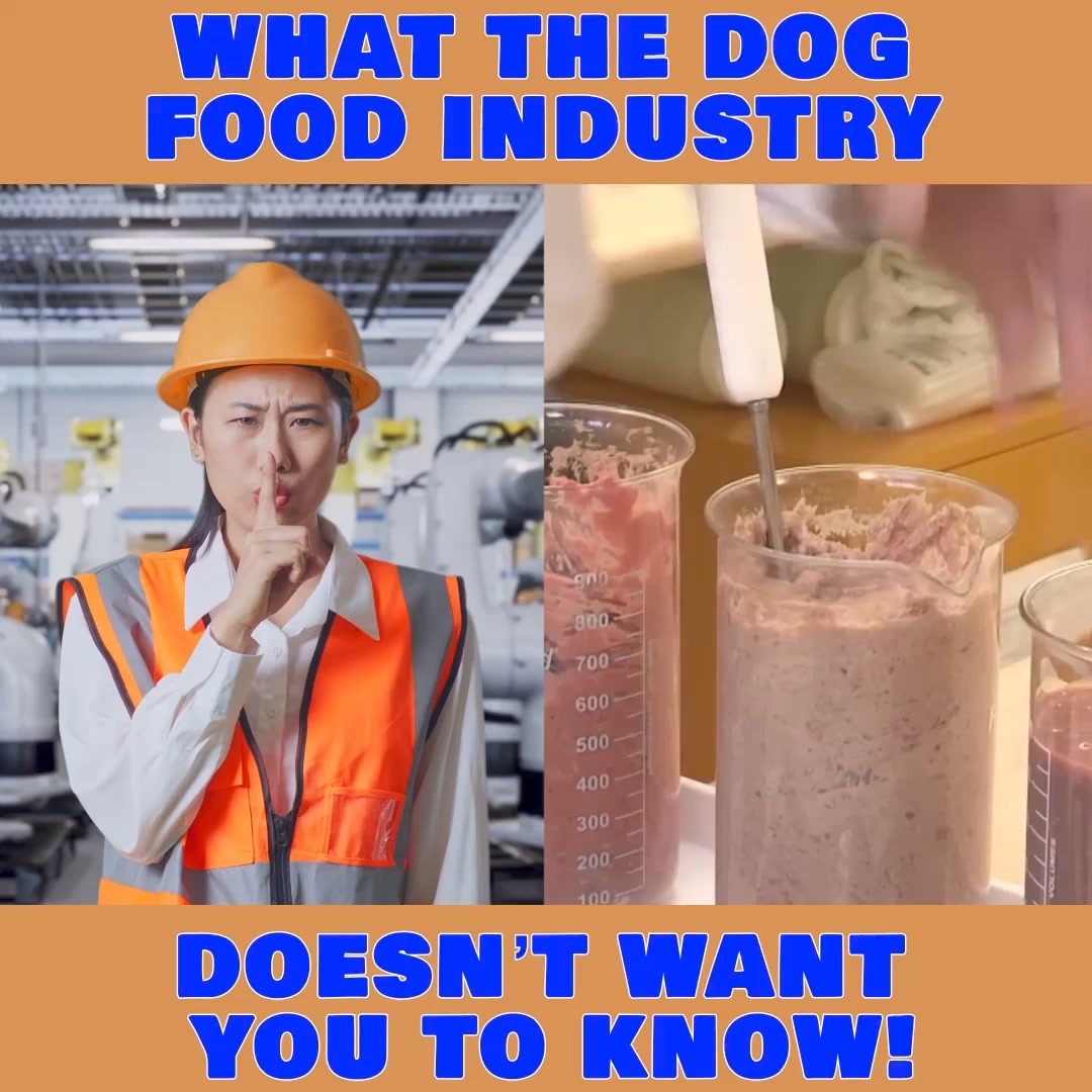 Watch What SEEDS Do To Your Dog!