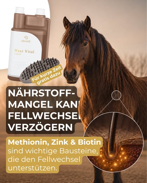 Fellwechsel Einkauf