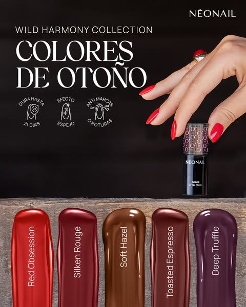 NUEVA Colección de Otoño