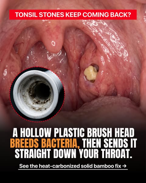 The solid bamboo replacement head with no cavity to breed bacteria