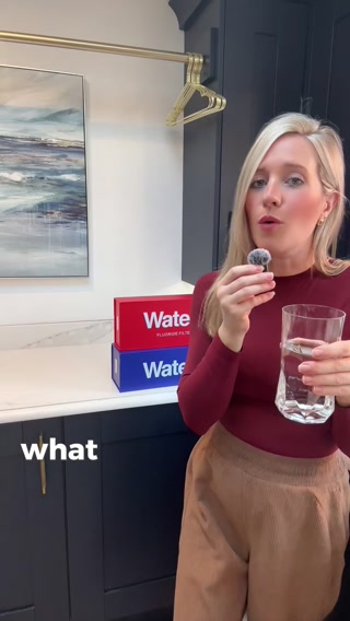 "The Best Undersink Filter"