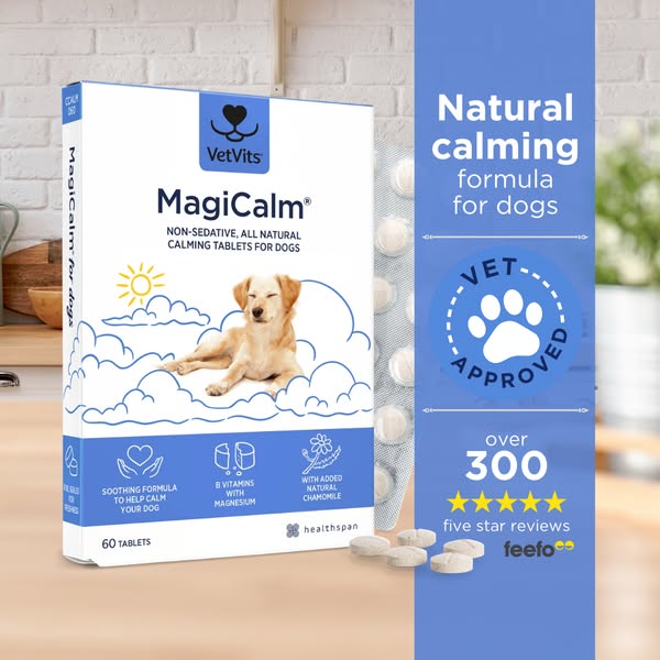 Natural Supplement for Anxious Dogs