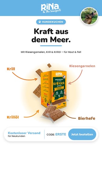 Omega-3 für deinen Hund