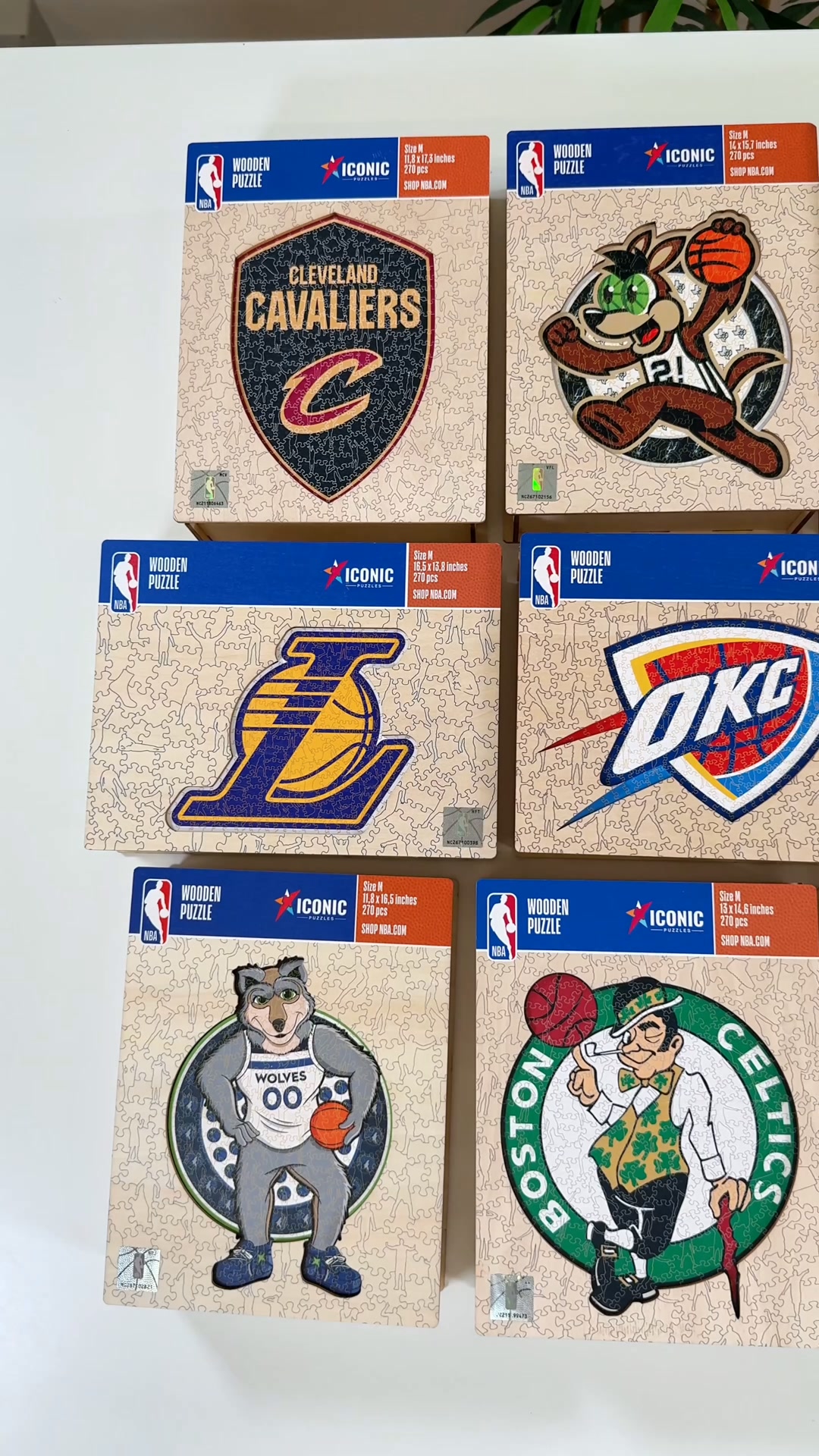 Sorprendi Un Vero Fan NBA
