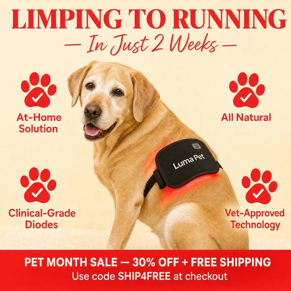 PET MONTH SALE: LumaPet Red Light