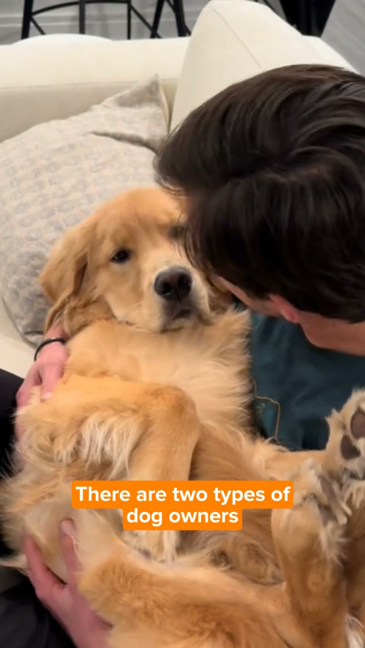 Top Liquid Collagen For Dogs