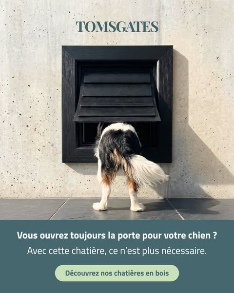 Plus de confort pour vous et votre chien