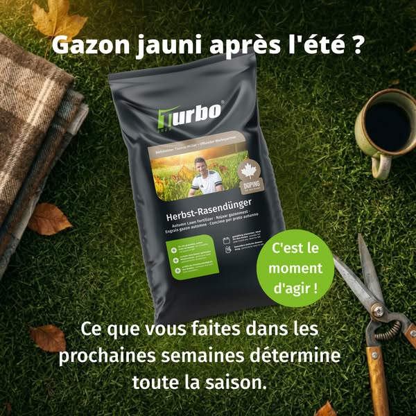 Sauver son gazon après l'été